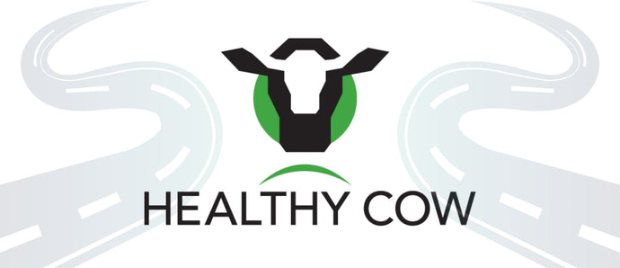 The History of Healthy Cow